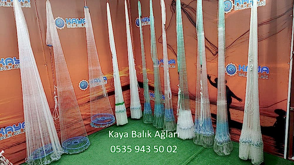Balik ağ 1